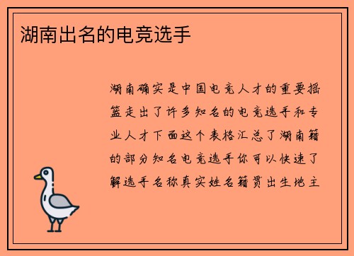 湖南出名的电竞选手